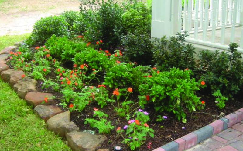 placeholder image-sq