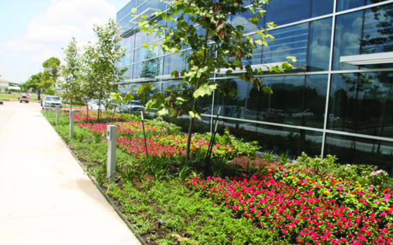 placeholder image-sq