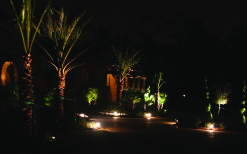 placeholder image-sq