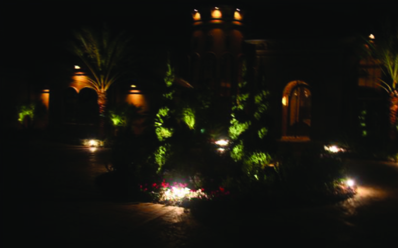 placeholder image-sq