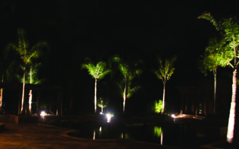 placeholder image-sq