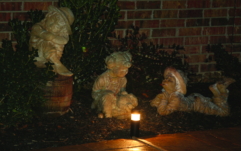 placeholder image-sq